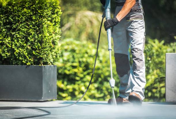 Professional  Pressure Washing Services in Indian River, MI