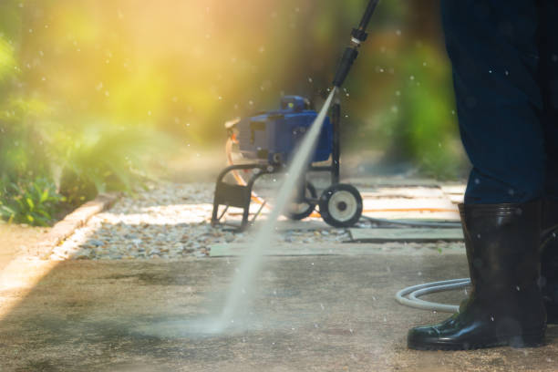 Best Residential Exterior Washing  in Indian River, MI